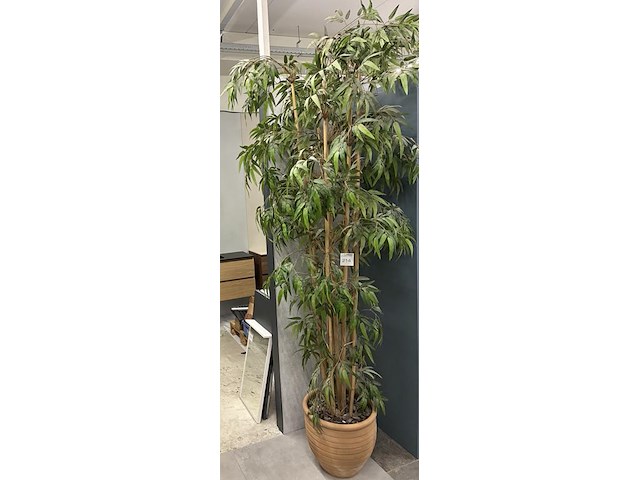 Kunst bamboeplant, hoogte ca. 270 cm. - afbeelding 3 van  3