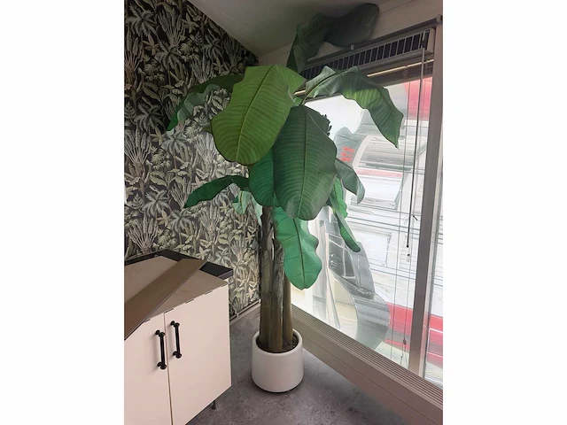 Kunst bananenboom - afbeelding 1 van  1