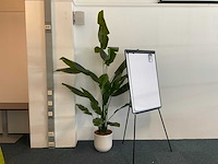 Kunst bananenplant met pot - afbeelding 1 van  2