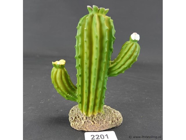 Kunst cactus - afbeelding 1 van  5
