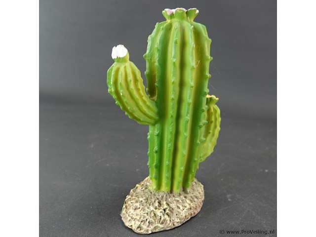Kunst cactus - afbeelding 2 van  5