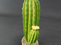 Kunst cactus - afbeelding 4 van  5