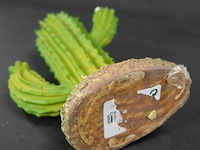 Kunst cactus - afbeelding 5 van  5