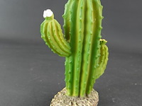 Kunst cactus - afbeelding 2 van  5