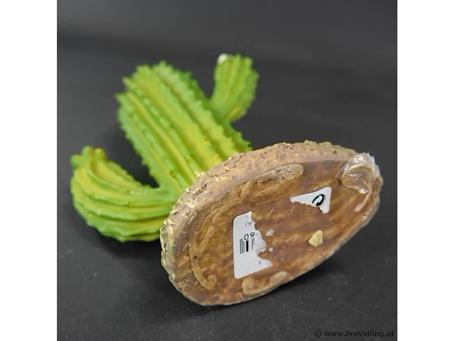 Kunst cactus - afbeelding 5 van  5