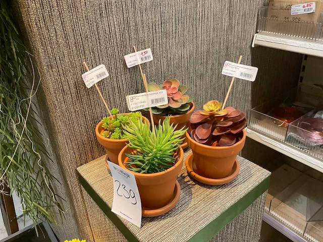 Kunst hangplanten (14x) - afbeelding 3 van  5