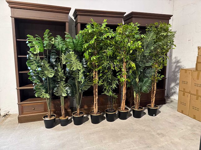 Kunst kamerplant (9x) - afbeelding 1 van  4