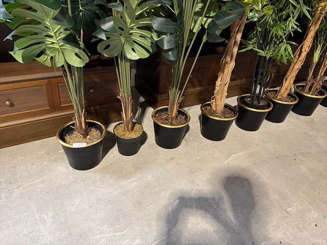 Kunst kamerplant (9x) - afbeelding 2 van  4