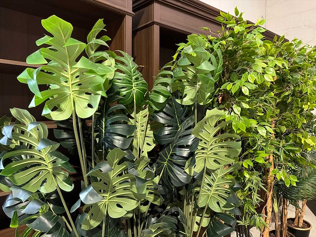 Kunst kamerplant (9x) - afbeelding 3 van  4