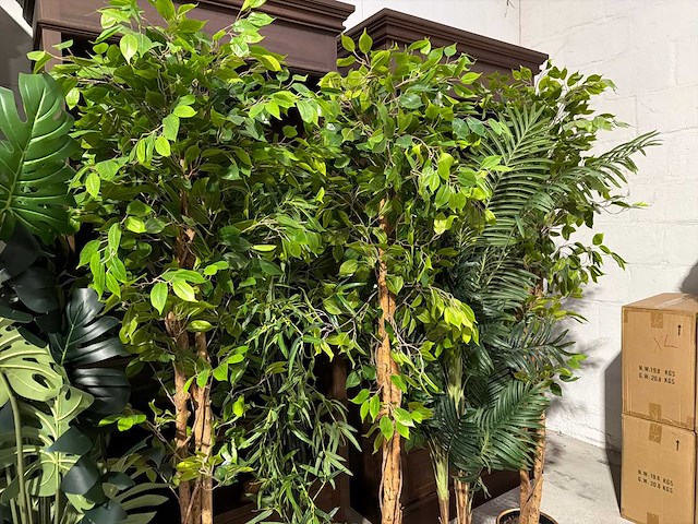 Kunst kamerplant (9x) - afbeelding 4 van  4