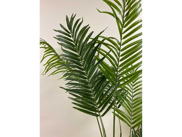 Kunst kamerplant “areca palm” - afbeelding 3 van  6