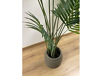 Kunst kamerplant “areca palm” - afbeelding 5 van  6