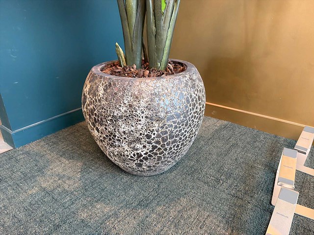 Kunst kamerplant in pot - afbeelding 2 van  5