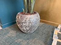 Kunst kamerplant in pot - afbeelding 2 van  5