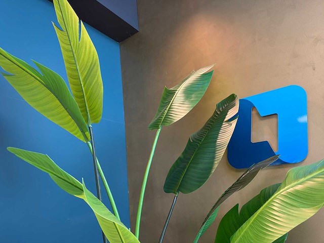 Kunst kamerplant in pot - afbeelding 5 van  5