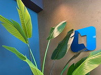 Kunst kamerplant in pot - afbeelding 5 van  5