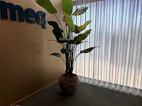 Kunst kamerplant in pot - afbeelding 1 van  5