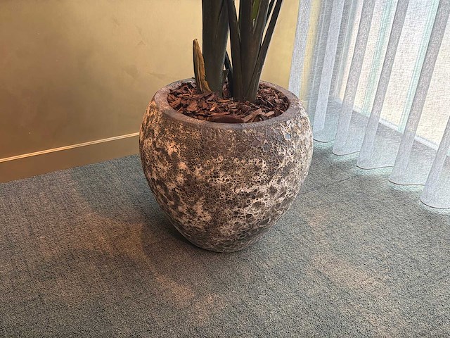 Kunst kamerplant in pot - afbeelding 2 van  5