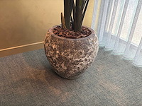 Kunst kamerplant in pot - afbeelding 2 van  5
