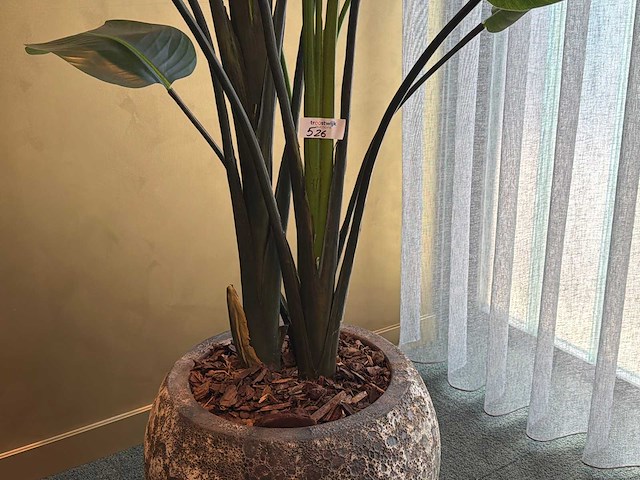 Kunst kamerplant in pot - afbeelding 3 van  5