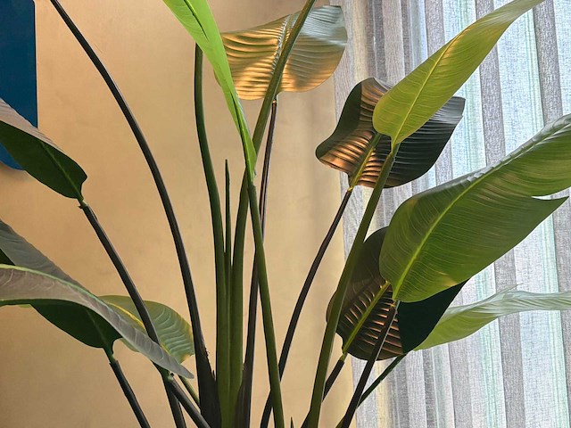 Kunst kamerplant in pot - afbeelding 4 van  5