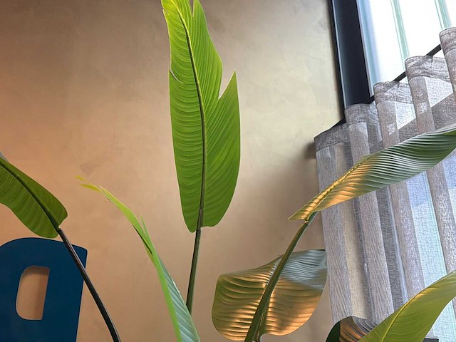 Kunst kamerplant in pot - afbeelding 5 van  5