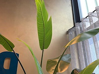 Kunst kamerplant in pot - afbeelding 5 van  5