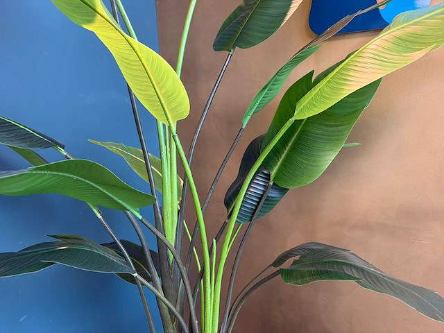 Kunst kamerplant in pot - afbeelding 2 van  2