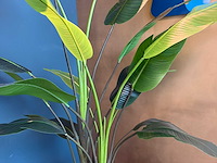 Kunst kamerplant in pot - afbeelding 2 van  2