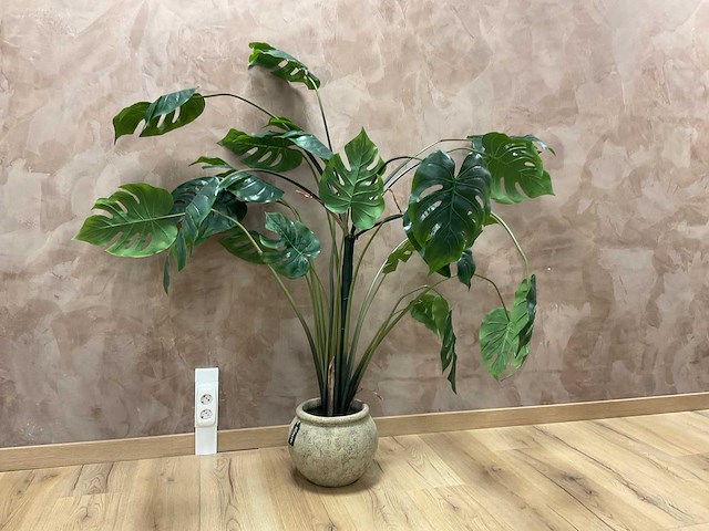 Kunst kamerplant “monstera” - afbeelding 1 van  6