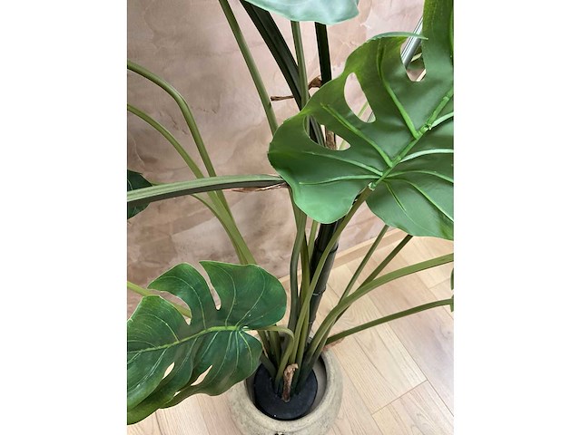 Kunst kamerplant “monstera” - afbeelding 5 van  6