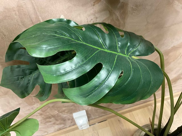 Kunst kamerplant “monstera” - afbeelding 6 van  6