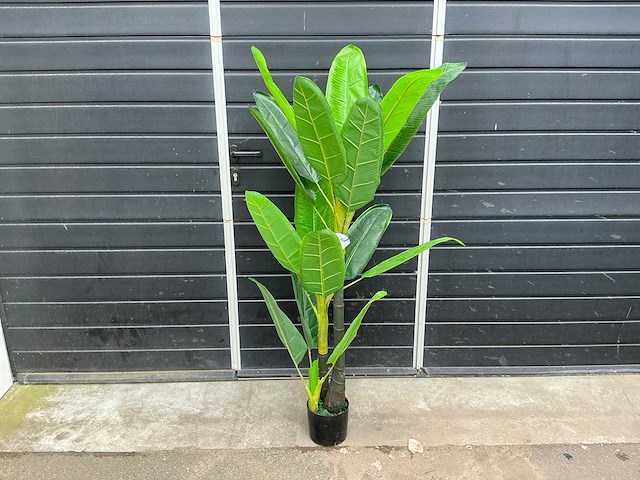 Kunst kamerplant - afbeelding 1 van  4