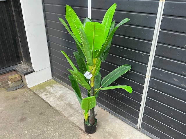 Kunst kamerplant - afbeelding 2 van  4