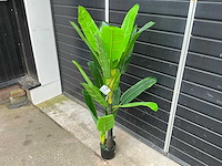 Kunst kamerplant - afbeelding 2 van  4