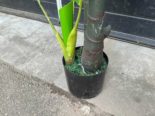 Kunst kamerplant - afbeelding 3 van  4