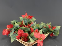 Kunst kerstster (poinsettia) in rieten mand - afbeelding 1 van  5