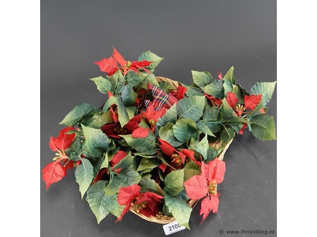 Kunst kerstster (poinsettia) in rieten mand - afbeelding 3 van  5
