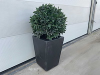 Kunst laurierbol in pot - afbeelding 2 van  4