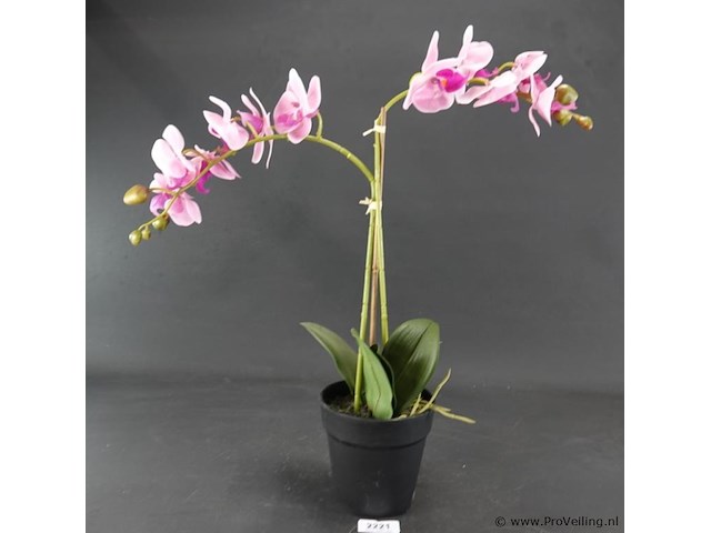 Kunst orchidee - afbeelding 1 van  4