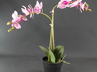 Kunst orchidee - afbeelding 1 van  4