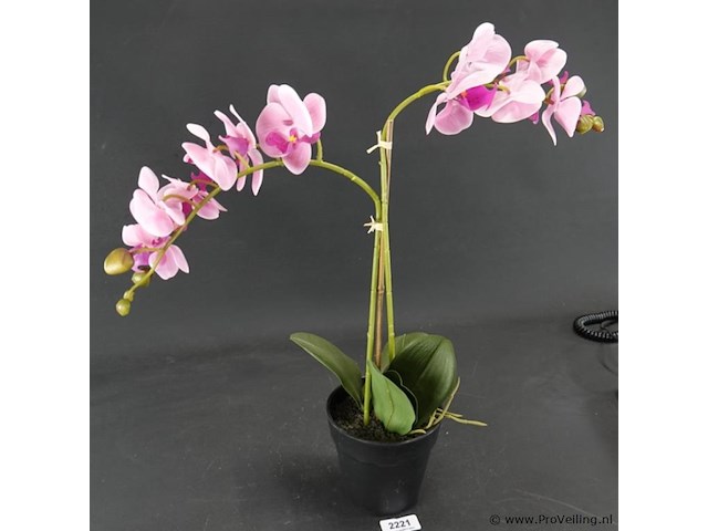 Kunst orchidee - afbeelding 2 van  4