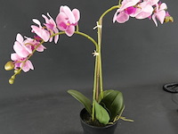 Kunst orchidee - afbeelding 2 van  4