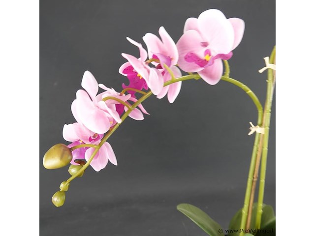 Kunst orchidee - afbeelding 3 van  4