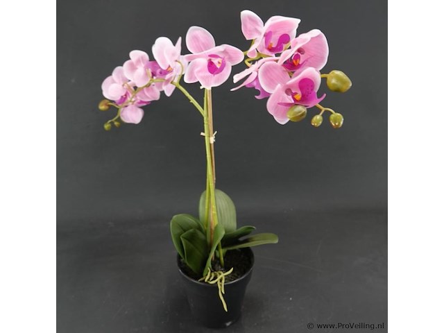 Kunst orchidee - afbeelding 4 van  4