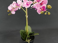 Kunst orchidee - afbeelding 4 van  4