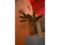 Kunst (palm) plant (3x) - afbeelding 2 van  4