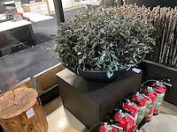 Kunst plant olijf met pot op presentatie kubus - afbeelding 1 van  5