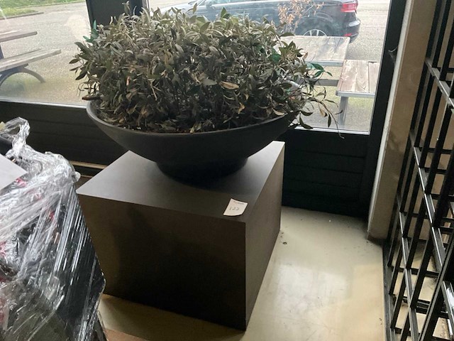 Kunst plant olijf met pot op presentatie kubus - afbeelding 1 van  5