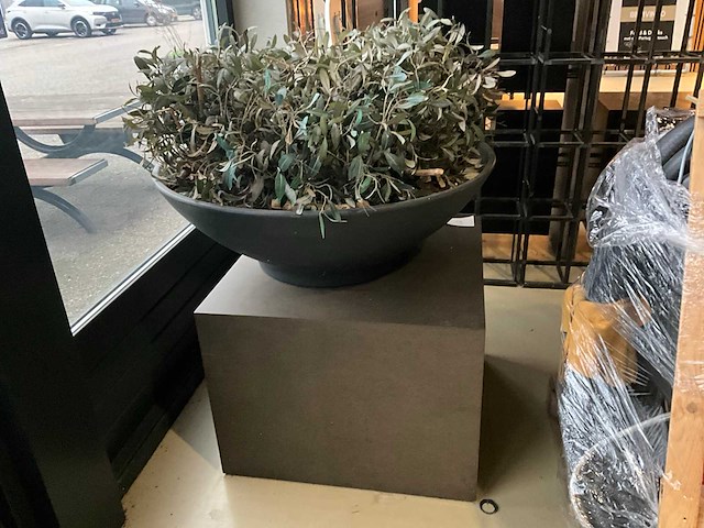 Kunst plant olijf met pot op presentatie kubus - afbeelding 2 van  5